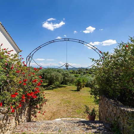 Classical Villa Anta Ágios Ioánnis Exteriér fotografie