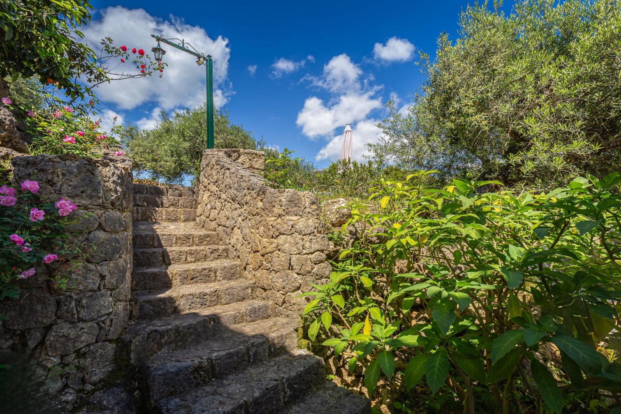 Classical Villa Anta Ágios Ioánnis Exteriér fotografie