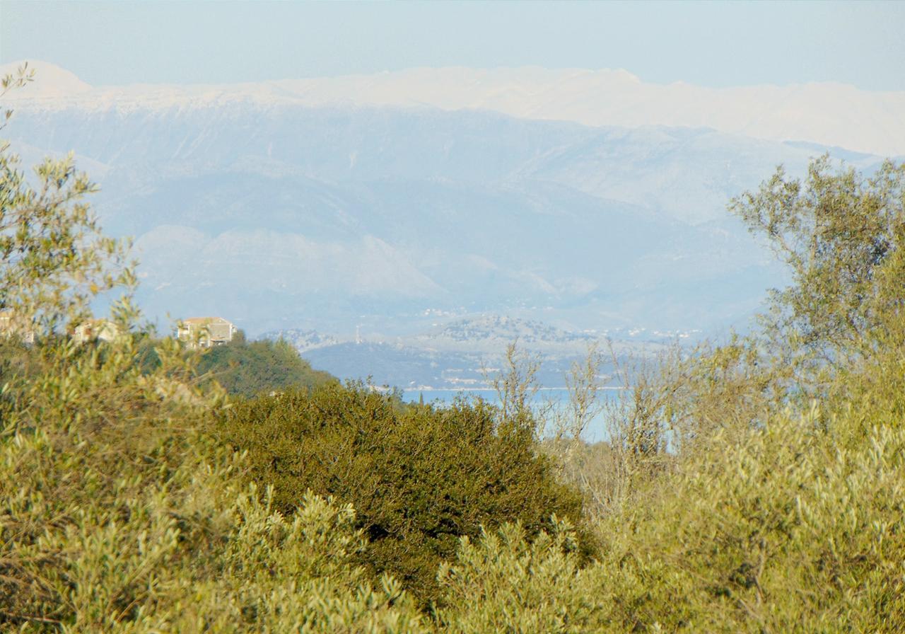 Classical Villa Anta Ágios Ioánnis Pokoj fotografie