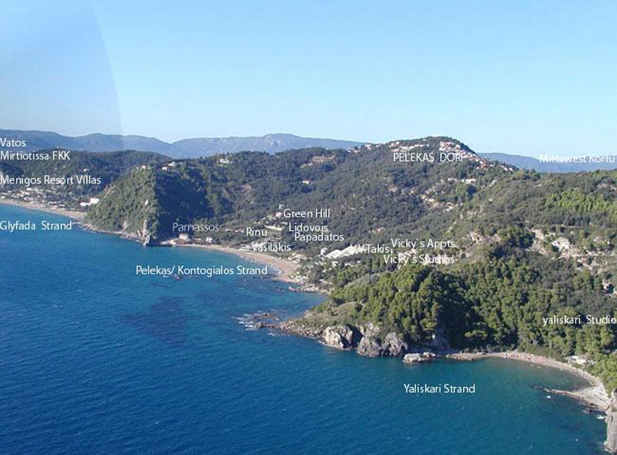 Classical Villa Anta Ágios Ioánnis Exteriér fotografie